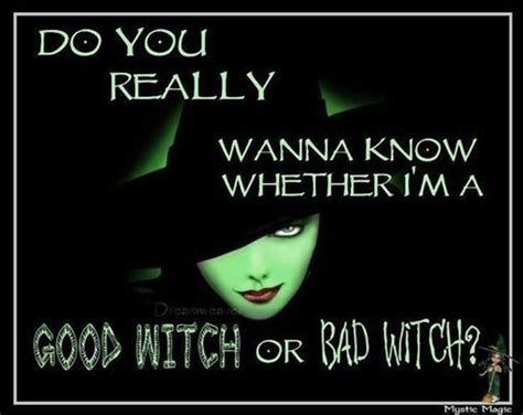 good  bad witch pictures   images  facebook tumblr pinterest  twitter