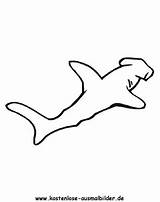 Hammerhai Ausmalbild Ausmalen Haie Kostenlose sketch template