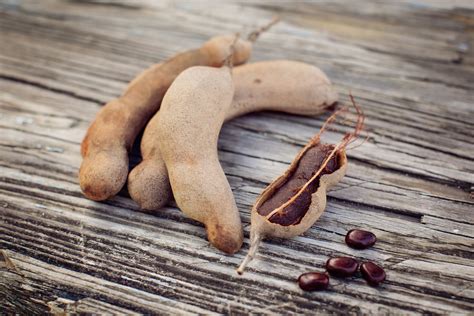 tamarind   tamarind     buy