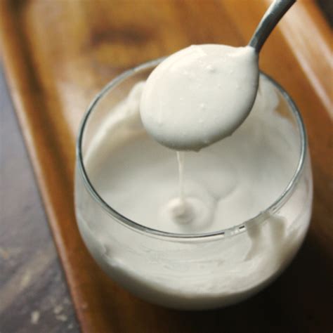 coconut cream health benefits  joyful belly school  ayurveda