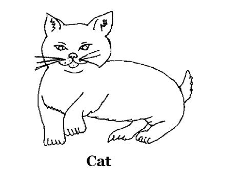 domestic animals coloring pages coloring pages
