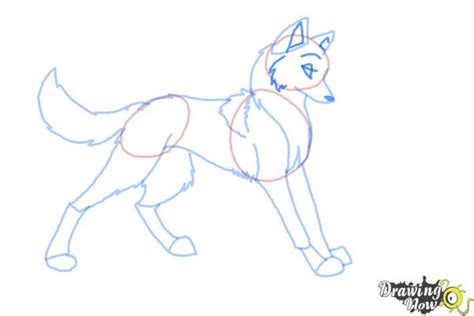 How To Draw Anime Wolves Drawingnow