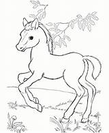 Pony Tracing Bestappsforkids sketch template