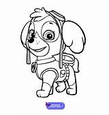 Patrulha Canina Colorir Paw Skye Imprimir Pata Turma Crianças Infantis Atividades Os Passo sketch template