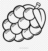 Grapes Pinclipart sketch template