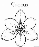 Flower Crocus Clipart Coloring Pages Cliparts Pasque Printable Prairie Flowers Library Clipground sketch template
