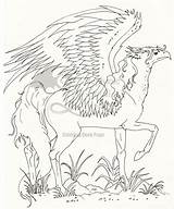 Hippogriff Coloring Pages Book Potter Harry Getcolorings Printable Getdrawings Deviantart sketch template