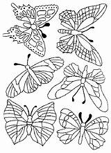 Bordar Mariposas Animales Bordados Bordado Arabescos Servilletas Figuras Libelulas Trazos Mariposa sketch template
