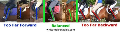 visual correct leg position white oak stables