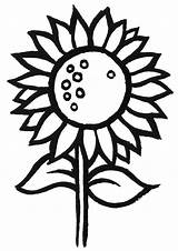 Sunflower Coloring Pages Kids Simple Flower Clipart Drawing Colouring Print Color Printable Template Sunflowers Cliparts Cartoon Pattern Collection Getdrawings Library sketch template