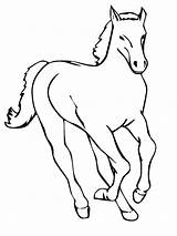 Coloring Pages Horse Horses Running Realistic Printable Animals Transportation Means Realisticcoloringpages Various Race Continues Modernization Carrier Serves Decreased Role Currently sketch template