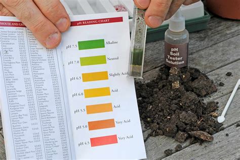 soil ph chart  fruits  vegetables