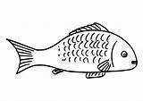 Fish Coloring Pages Simple Getcoloringpages Printable Colouring sketch template
