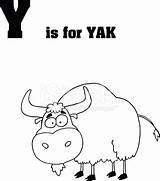 Yak Letter Alphabet Coloring Pages Clipart Cartoon Printable Premium Freeimages Graphicsfactory Clip Stock Letters Istock Getty sketch template