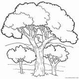 Coloring Coloring4free Tree Pages Hills Adults Kids Printable sketch template