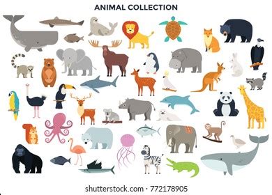 animal images stock  vectors shutterstock