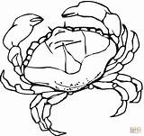 Crab Coloring Pages Blue Drawing Template Supercoloring Color Animal Printable Fish Print sketch template