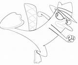 Platypus Perry Coloring Pages Kick Drawing Tubing Step Library Clipart Printable Line Getdrawings Popular sketch template