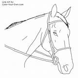 Coloring Thoroughbred Pages Hunter Color Horse Getcolorings Index Line Own Additions sketch template