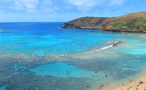hanauma bay oahu island hawaii living  hawaii