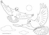 Doves sketch template