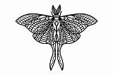 Moth Luna Mandala Svg sketch template