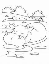 Hippo Coloring Pages Hippopotamus Kids Printable Relaxing Clipart Mood Print Getcolorings Color Getdrawings Baby Library Popular Sketch sketch template