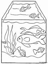 Aquarium Coloring Pages Fish Color Printable Getdrawings Drawing Recommended Getcolorings sketch template