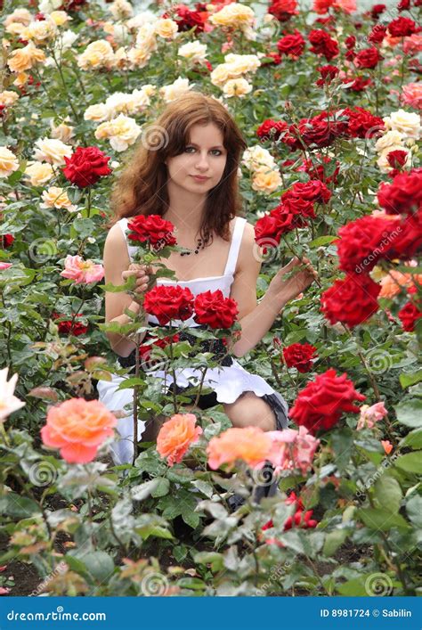 girl  roses stock photo image  leaves beautiful