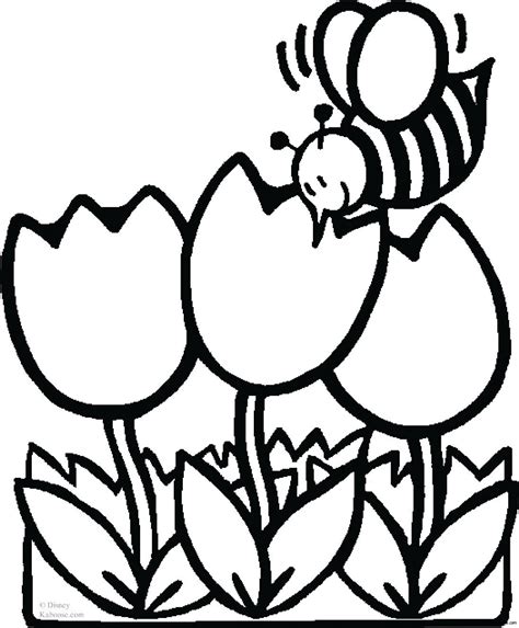 bee  flowers coloring sheet  kids