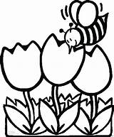 Coloring Bee Pages Flowers Sheet Kids Printable Flower Colouring Print Spring Color Bees Tulips Preschool Sheets Outline Bumble Tulip Colorear sketch template