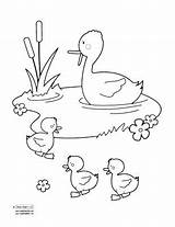 Pond Duck Coloring Pages Drawing Quiet Ducks Clipart Ponds Drawings Getdrawings Getcolorings Printable Color Book Paintingvalley Sc Explore sketch template
