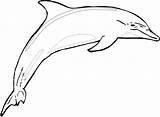 Dolphin Delfino Delfin Ausmalbilder Dauphin Ausmalen Colorare Coloring4free Colouring Malvorlagen Koi Dolphins Clipartmag Disegni Indietro Outline Coloriages Ausmalenbilder sketch template