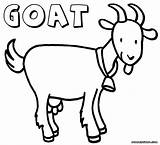 Goat Goats Pygmy Ius sketch template