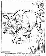 Coloring Pages Rhinoceros Rhino Zoo Animals Animal Kids Printable Activities Fun sketch template