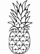 Pineapple Coloring Pages Fruits Fruit Print Printable Color Recommended Kids Template Orange sketch template