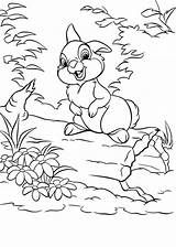 Thumper Coloring Pages Disney Colouring Printable Bunny Getcolorings Adult Dibujos Para Kids Cute Choose Board sketch template