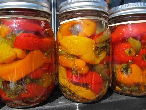 easy steps  canning peppers   grid news