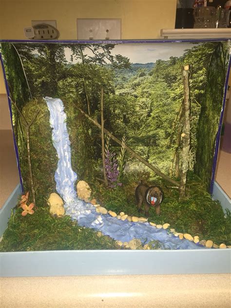 shoebox diorama habitat project mandril monkeyrafiki rainforest