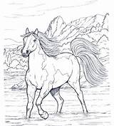 Ausmalbilder Pferde Filly Erwachsene Malen Coloriage Malvorlage Ostwind Mia Pferdebilder sketch template