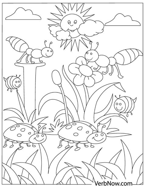 insects  print insects kids coloring pages insects coloring pages