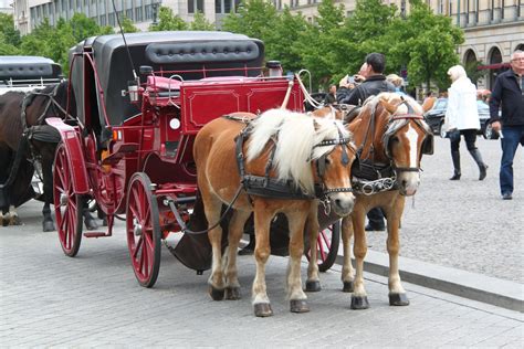 horse carriage  berlin travel moments  time travel itineraries
