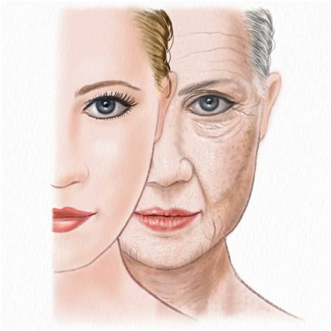 verouderde huid oorzaak en verzorging drs leenarts dermatoloog
