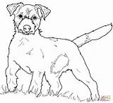 Supercoloring Russel Newfoundland Hunde Dentistmitcham sketch template