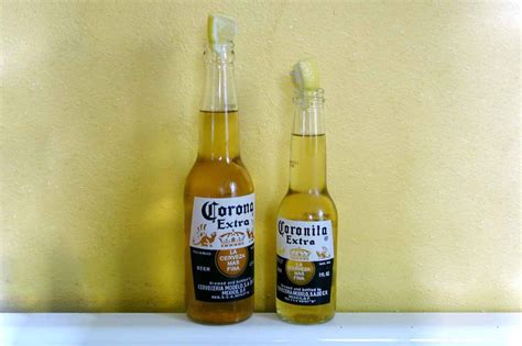 coronita  corona beer similarities differences