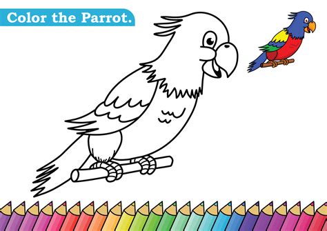 coloring page  parrot vector illustration kindergarten children