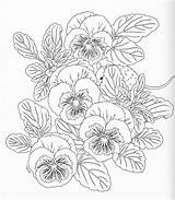 Coloring Pages Nature Adult Harmony Flower Book Books Spring Templates Issuu Patterns Printable Dessin Adulte Flowers Colouring Drawing Pg Stencil sketch template