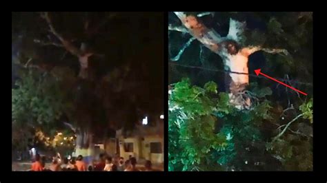 crucified jesus figure appears  tree days  easter