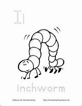 Inchworm Letter Coloring Pages Printable Preschool Letters Activities Crafts Ii Itchy Book Alphabet Template Phonics Worksheets Toddler Learning Sheets Printables sketch template