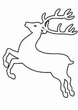 Reindeer Karácsonyi Sablon Szarvas Minta Templates Sheets Restoremajorityrule Kreatív Projektek Tulamama Renne Saute Coloriage Decoplage Mentve Lagret sketch template